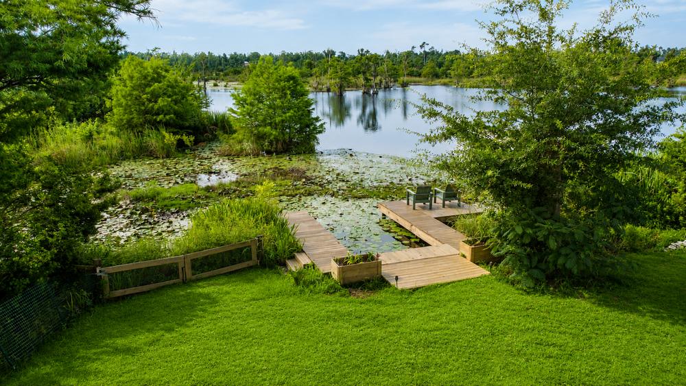 The nature dock reaching into the lily cove