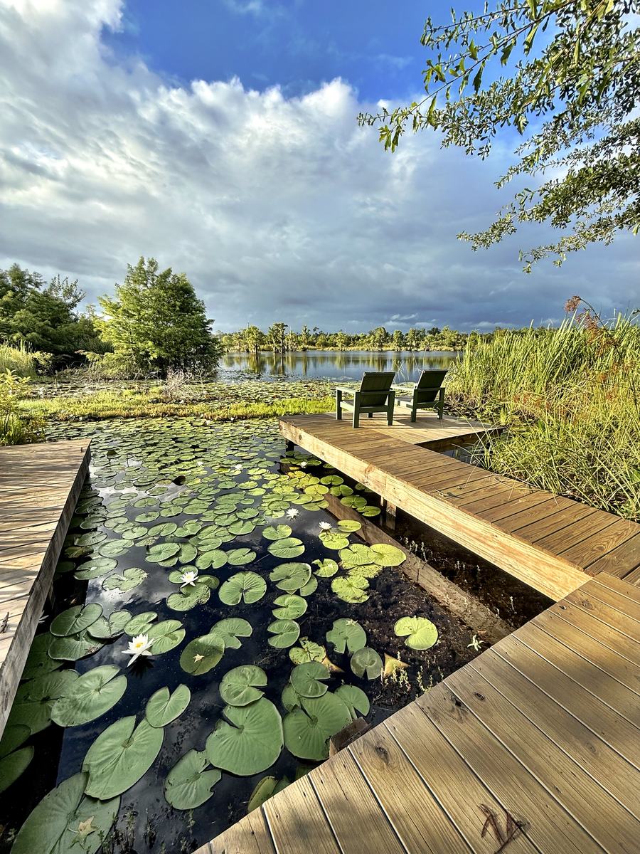 Lily pads and two chairs on the nature dock under a storm-lit sky