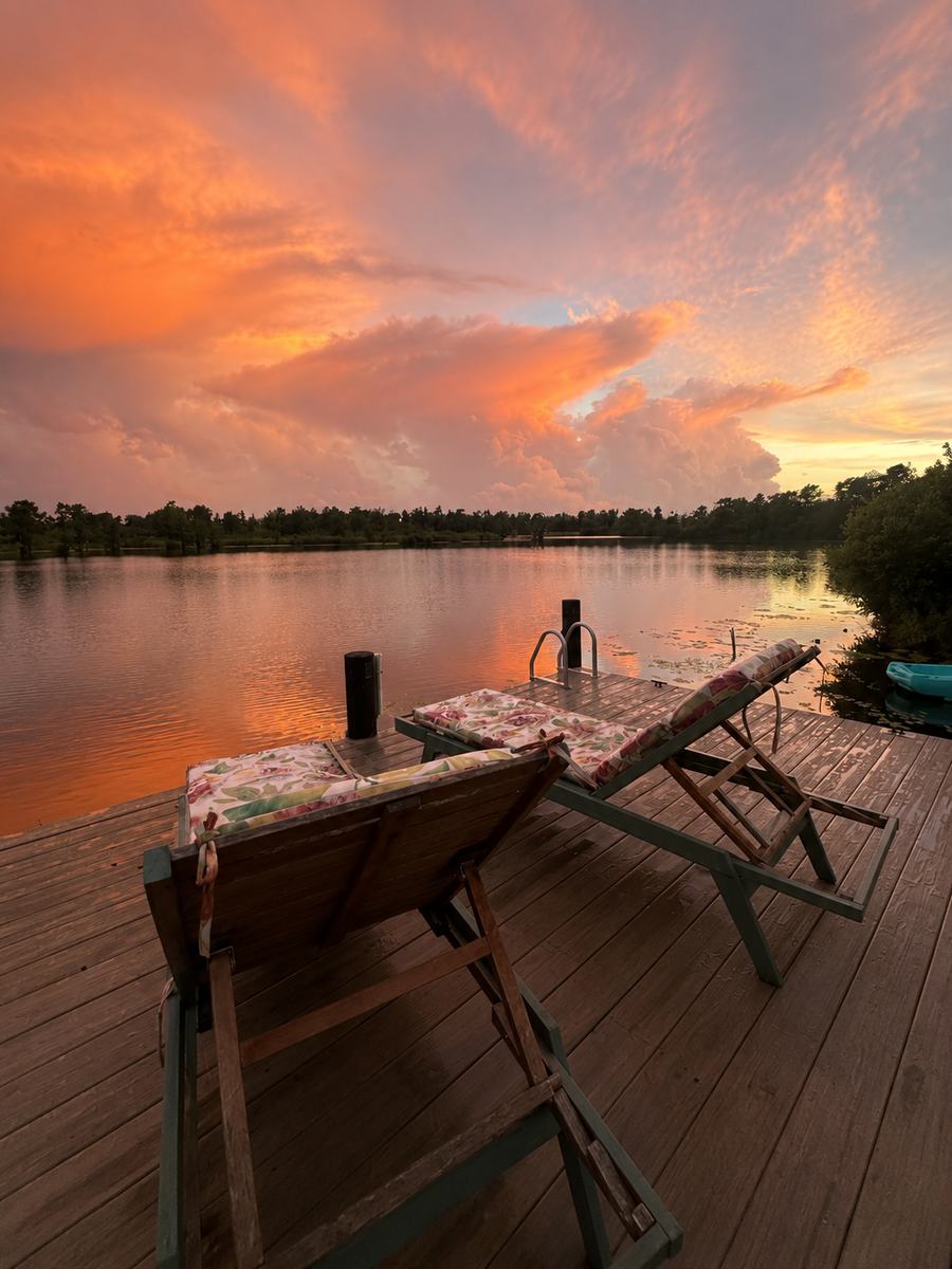 Sunset through the azaleas over the lake
