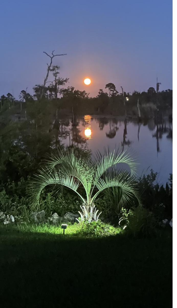 The moon rising over the cove