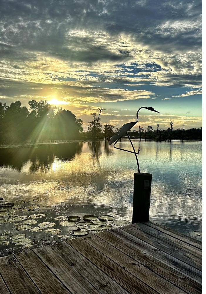Sunrise from the dock with the heron sculpture