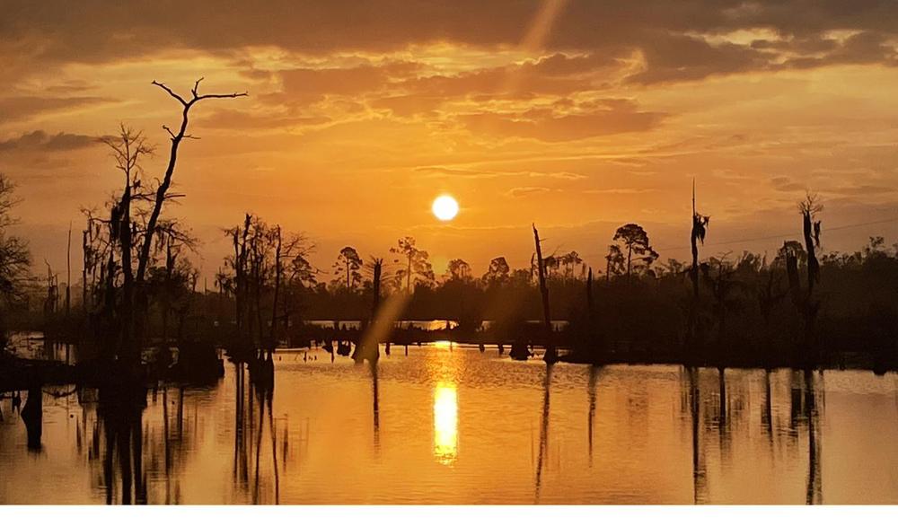 Golden morning over the water