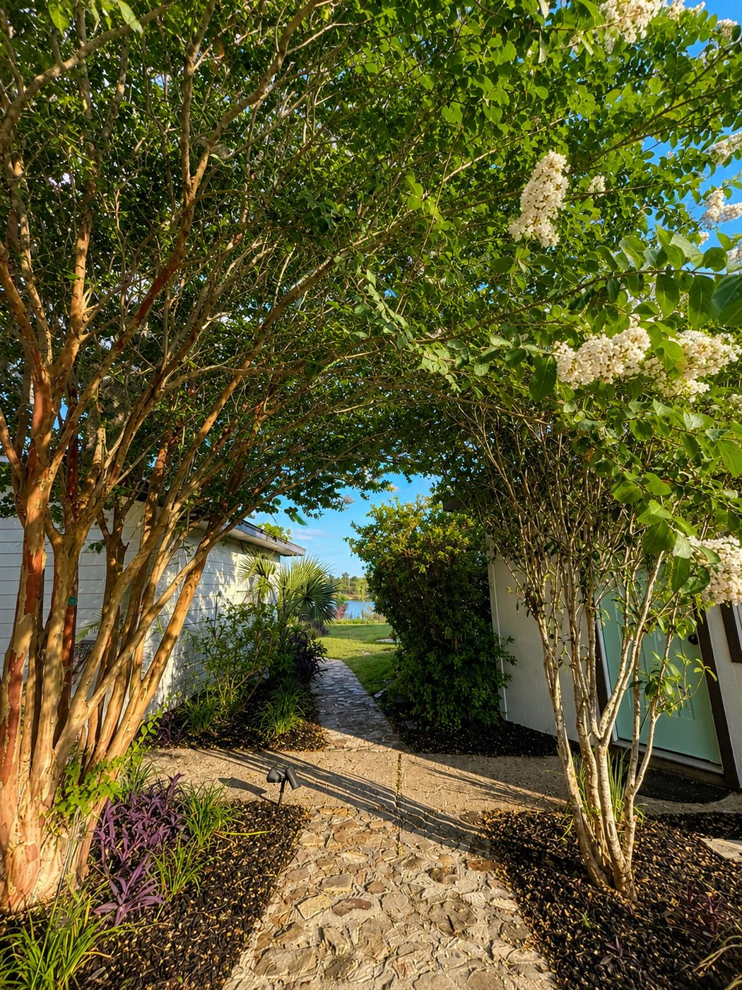 A stone path beneath arching crape myrtles, the lake glowing at its end
